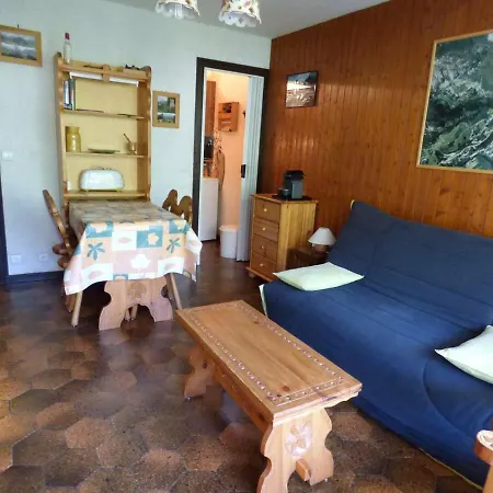 Apartment Le Grand-bornand, 1 Piece, 4 Personnes - Fr-1-458-105